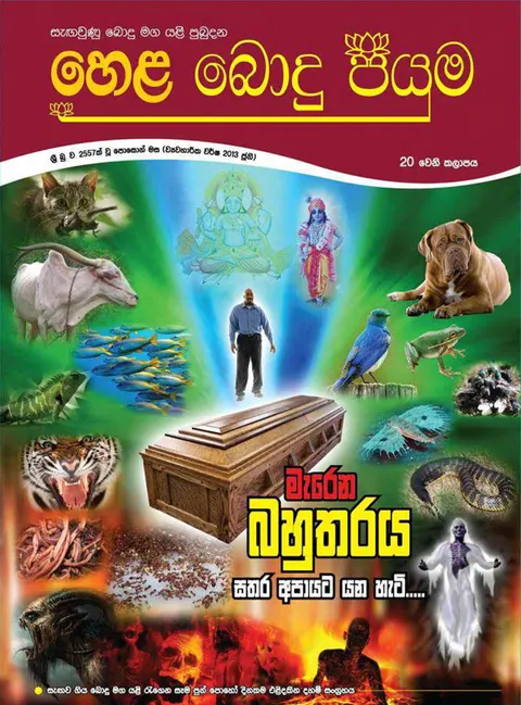 සඟරාව 20