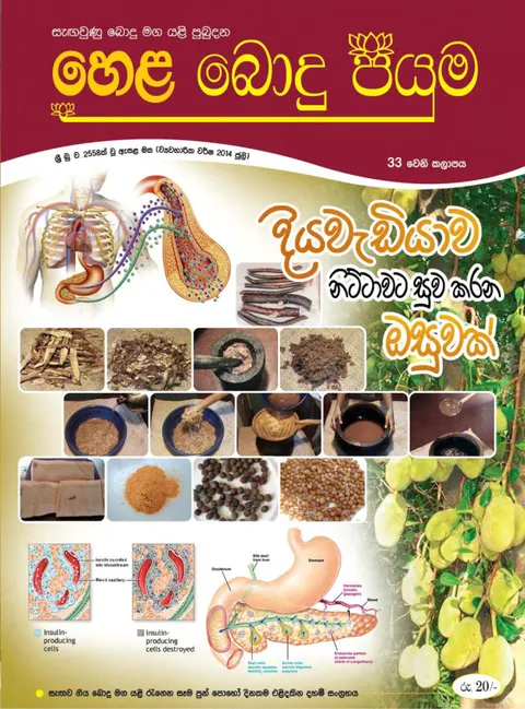 සඟරාව 33