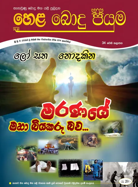 සඟරාව 34
