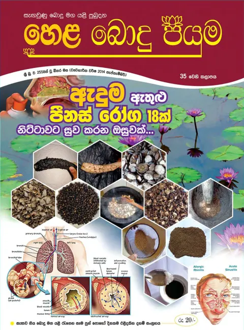 සඟරාව 35