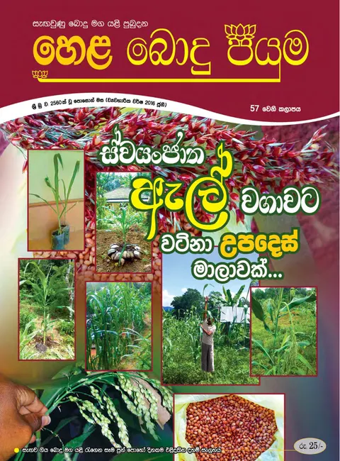 සඟරාව 57