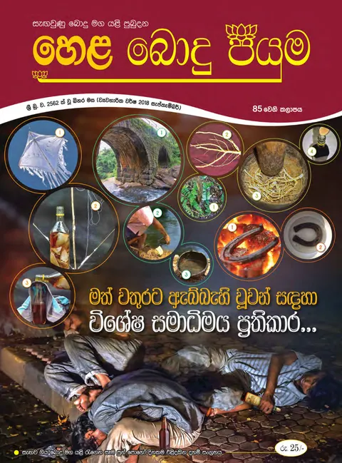 සඟරාව 85
