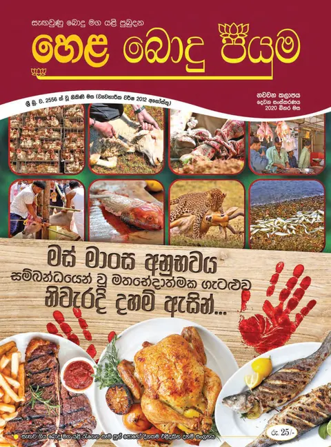 සඟරාව 9