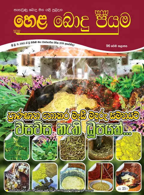 සඟරාව 96